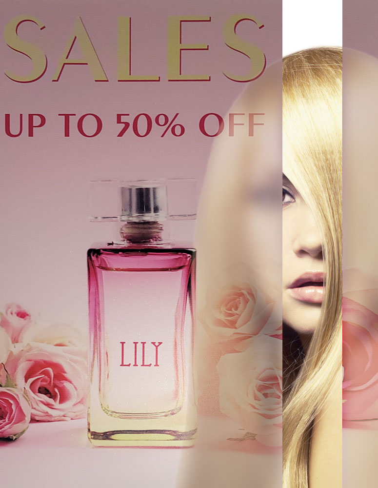 Printed Window Sandblasted Film