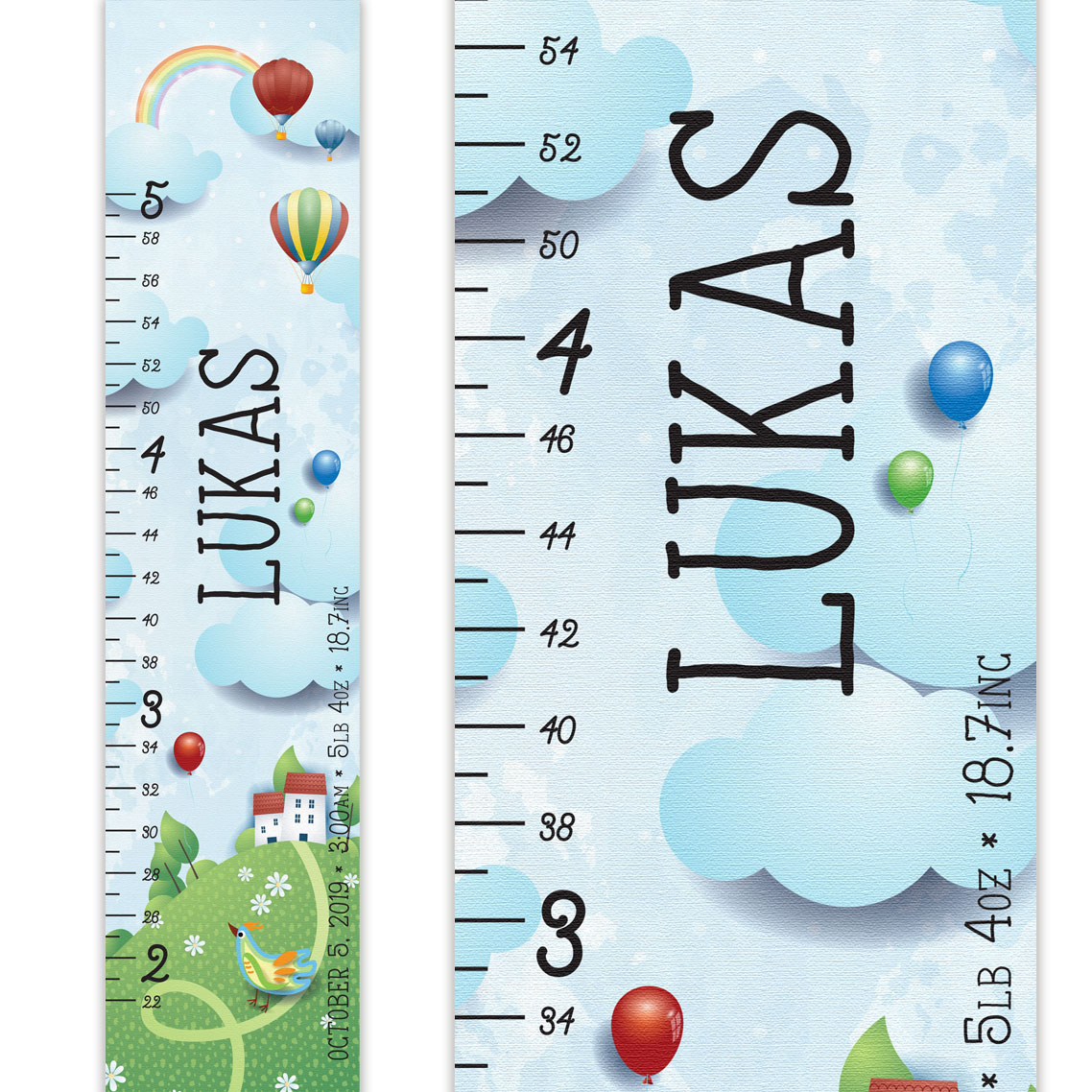 Rural Field and Sky Design Growth Chart in Canvas