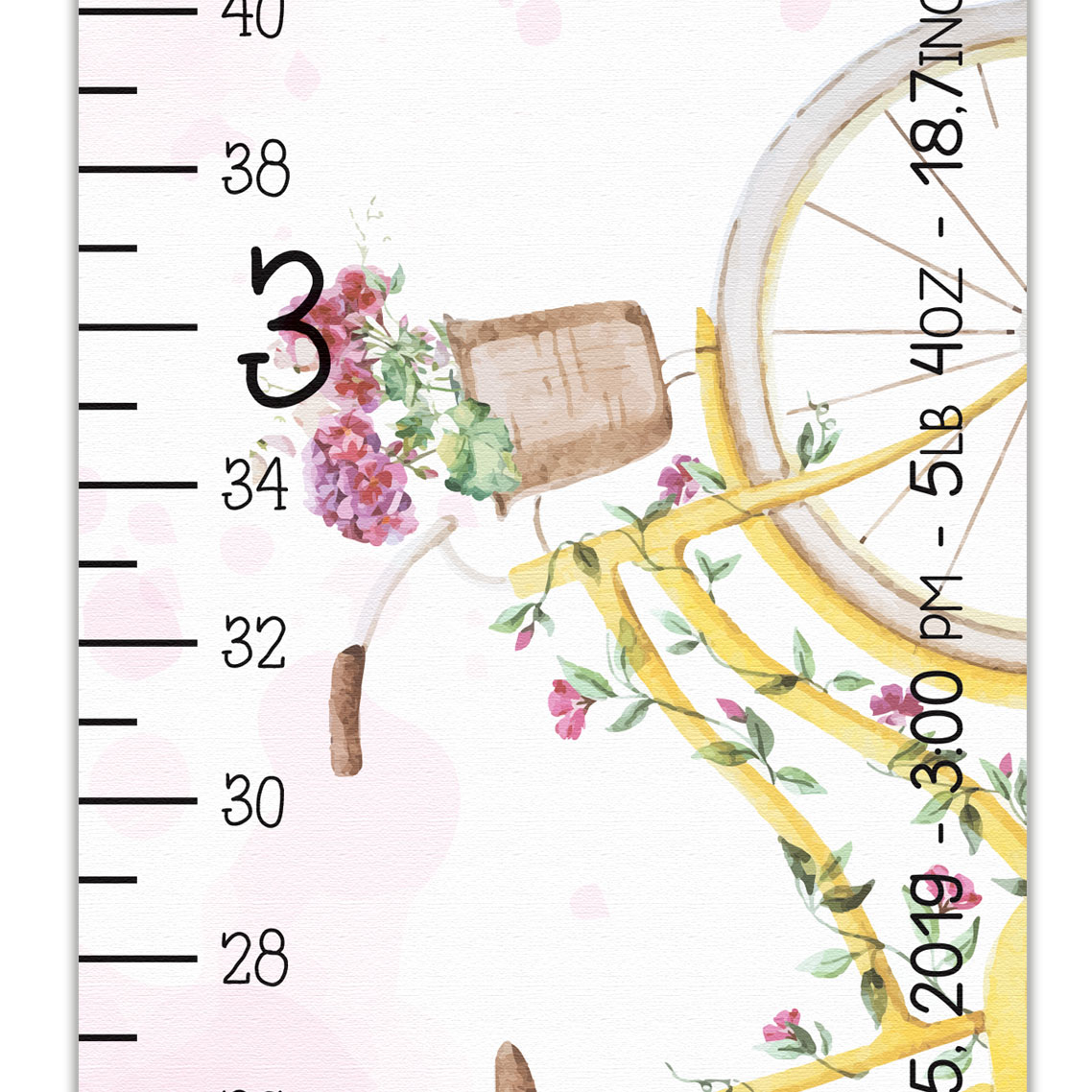 Beautiful Bicycle Design Growth Chart in Canvas