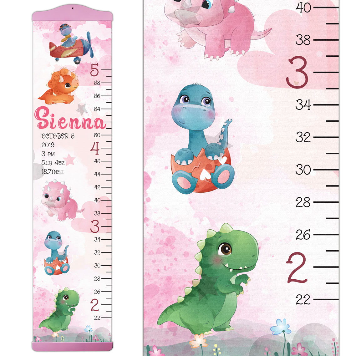 Cute Dinosaur Design Growth Chart in Canvas